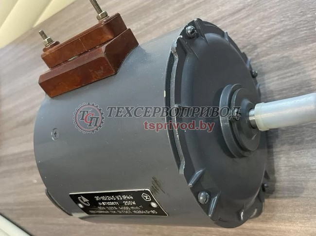 Электродвигатель ЭП-110/245 У3 лапы