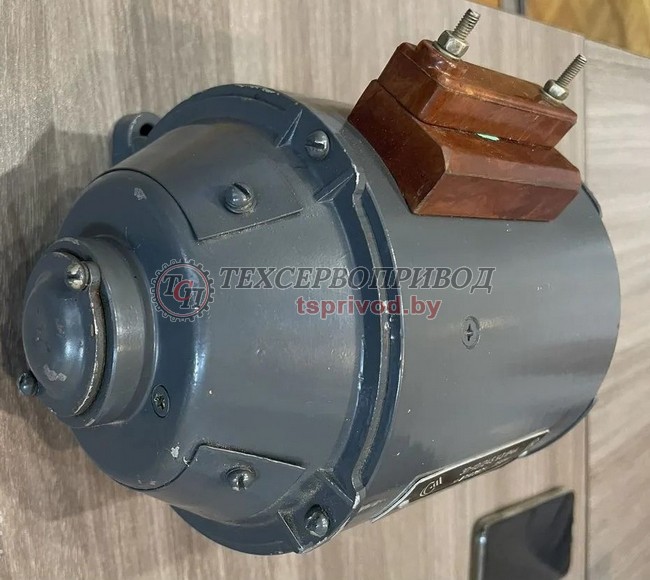 Электродвигатель ЭП-110/245 У3 лапы