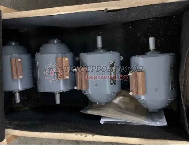 Электродвигатель ЭП-110/245 У3 лапы