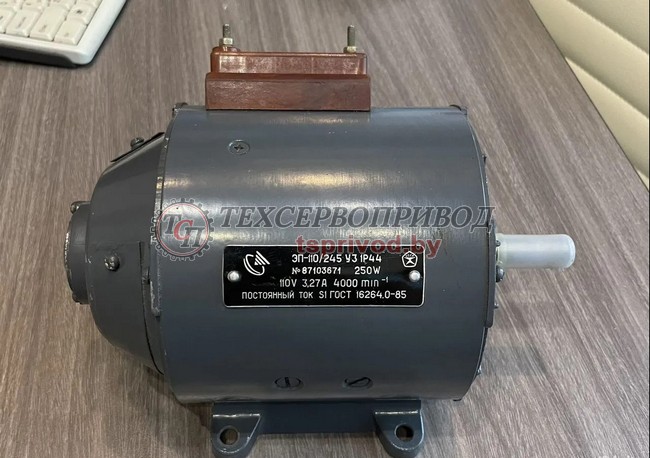 Электродвигатель ЭП-110/245 У3 лапы